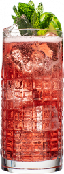Hendrick’s Gin Cranberry Fizz cocktail