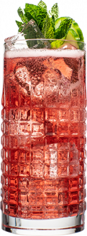 Hendrick’s Gin Cranberry Fizz cocktail