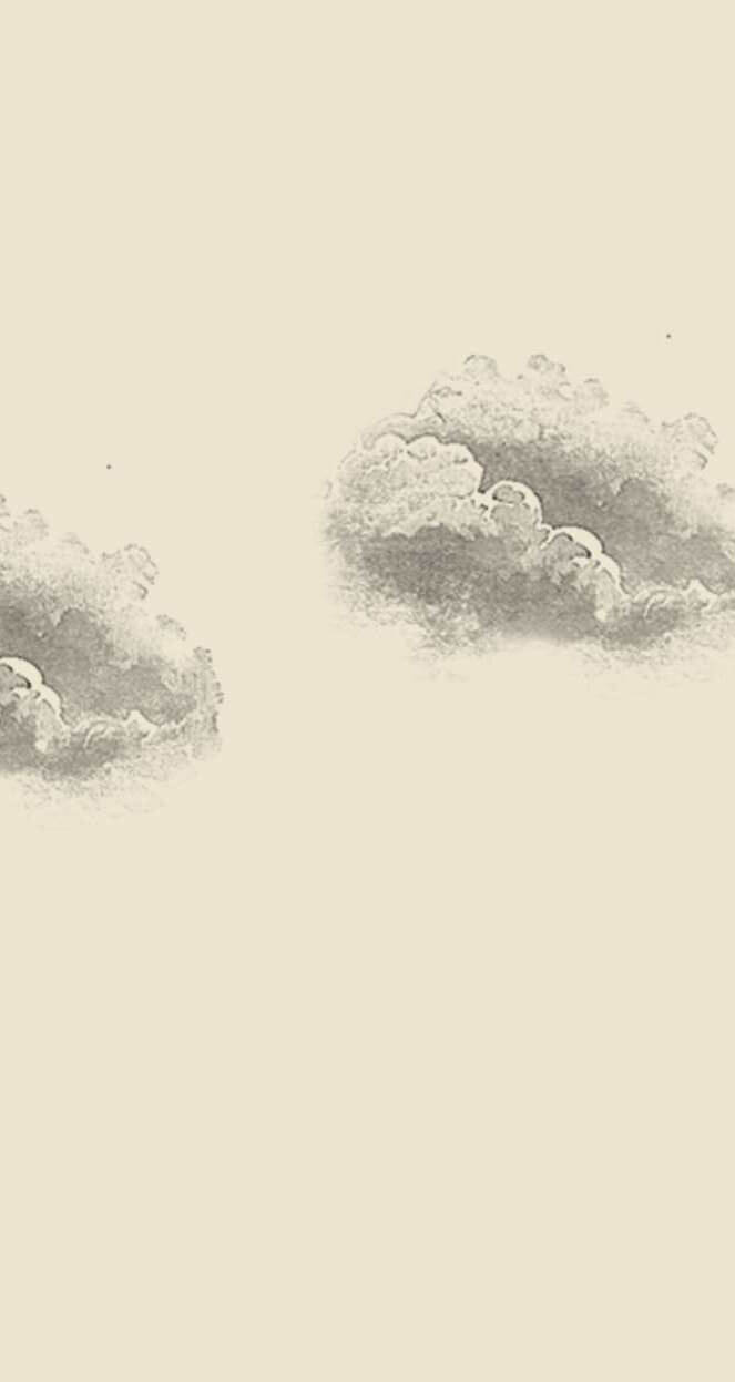 Mobile Image